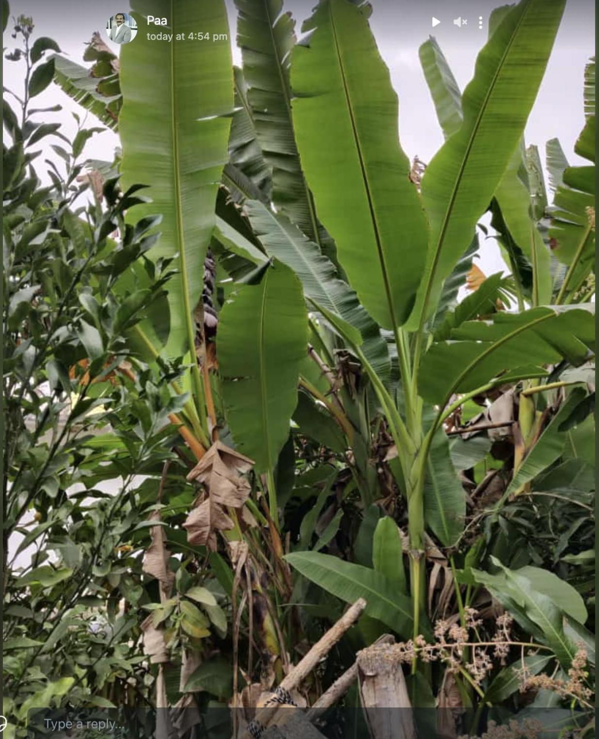 Anjani Farms Βίλα Ναγκπούρ Εξωτερικό φωτογραφία